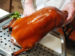 -阿庄新豫菜(航海东路店)