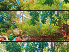 -深圳欢乐谷