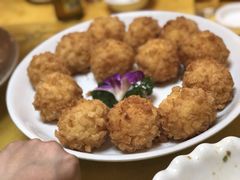-丁老爷子苏香圆