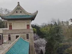 -武汉大学-樱园