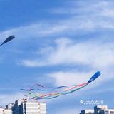 追风筝的周末🎏