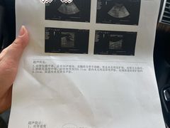 -北京赛佳动物医院