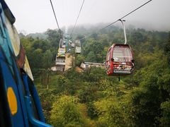 -缙云山景区