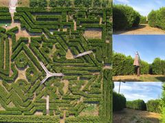 -亲兄弟真人CS团建拓展基地