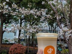 樱花粉荔拿铁咖啡-CoCo都可(虹口龙之梦店)