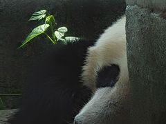 -帝京日语(春熙路旗舰校区)