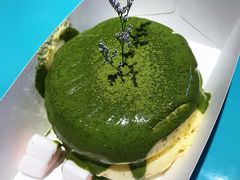 -狐狸和向日葵(北京路店)