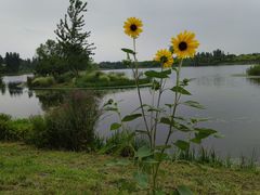 -东郊湿地公园