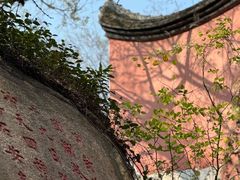 -乌山风景区