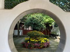 -上海醉白池公园
