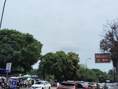 -都江堰中华大熊猫苑