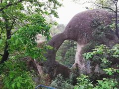 -六里坪国家森林公园
