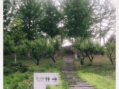 -望湖公园