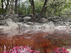 -湖泉半山温泉