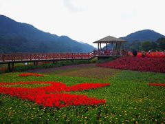-广州市石门国家森林公园