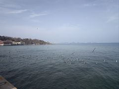 -养马岛旅游度假区