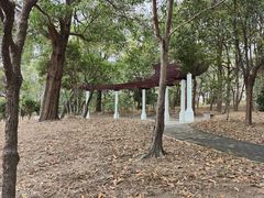 -聚龙山公园