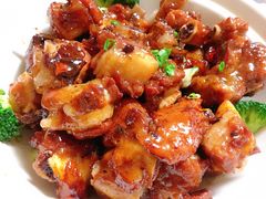 排骨！排骨！-老厨家(文政街总店)