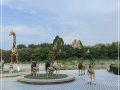 -北京野生动物园