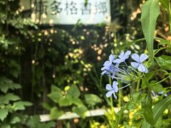 -斯多格书乡(北京大学畅春园店)