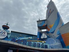 -海合安青岛极地海洋公园