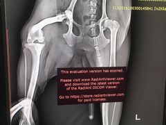 -中农大我爱我爱24h动物医院·中医针灸·猫专科·骨科医疗中心(双井店)