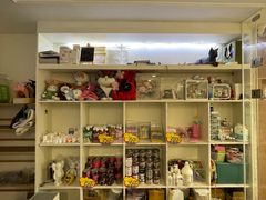 -楼上猫咖(罗湖店)