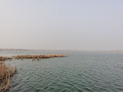 -野鸭湖国家湿地公园