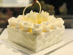 -BLACKSWAN黑天鹅(环球店)