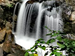 -广州白江湖森林公园