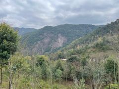 -广州市石门国家森林公园