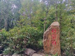 -上海市保健医疗中心