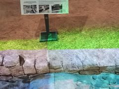 -南越王博物院(王宫展区)