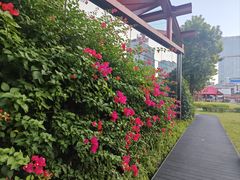 -南越王博物院(王宫展区)