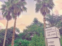 -太阳岛度假酒店