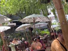 -Fern Forest Cafe