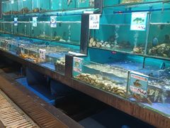 水产区-南海渔家•海鲜•正宗海南菜(海棠湾店)