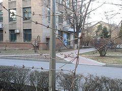 -辽宁大学(崇山校区)