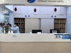 -中国农业大学动物医院