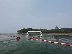 -金鸡湖桃花岛