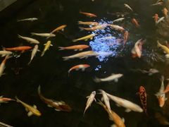 -深圳华侨城洲际大酒店