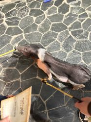 -Zoolung Zoolung动物主题公园(海信广场店)