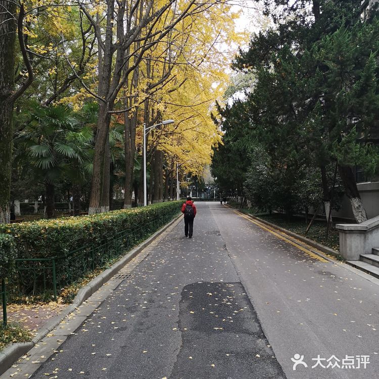 静静得在这迷人の校园走上一圈，真的是心旷神怡啊