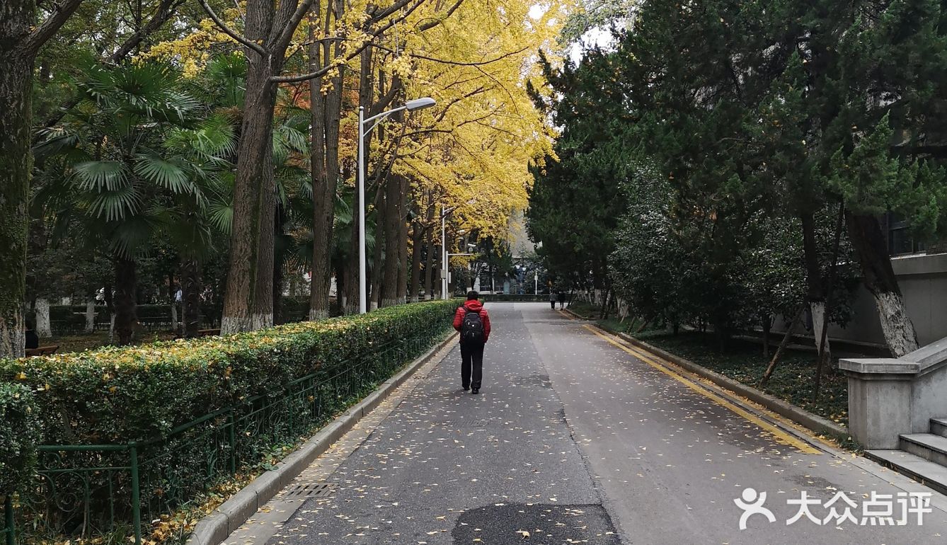 静静得在这迷人の校园走上一圈,真的是心旷神怡啊