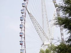 -哈尔滨文化公园