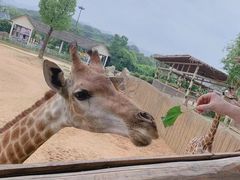 -杭州野生动物世界