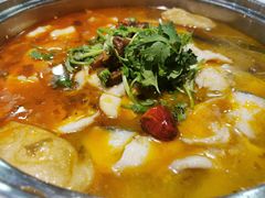 肥肠鱼-龙梅肥肠鱼(明瓦廊店)