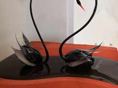 -BLACKSWAN黑天鹅(环球店)