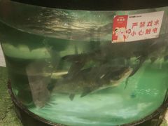 -聚鑫阁江浙菜·非遗传承技艺(青村帝华园店)