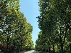 -同里国家湿地公园